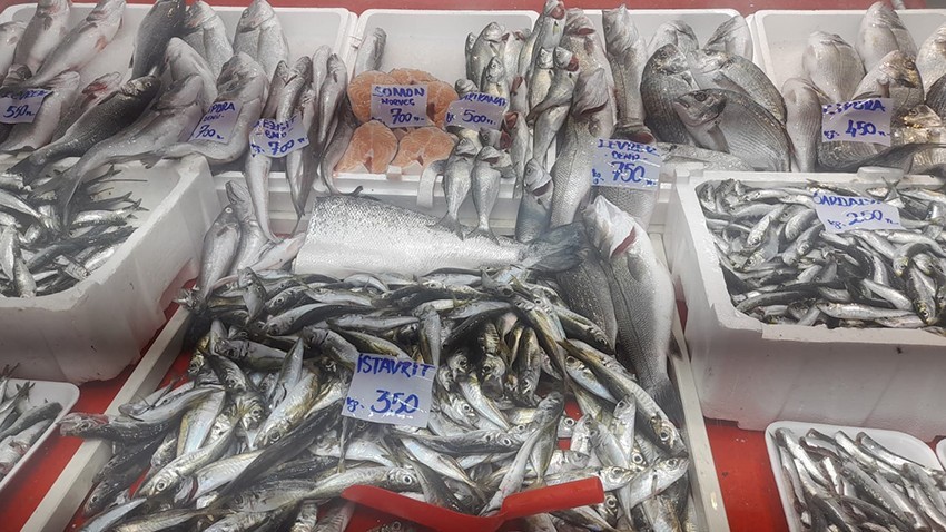 Güncel Balık Fiyatları: Sardalye Cep Yakıyor