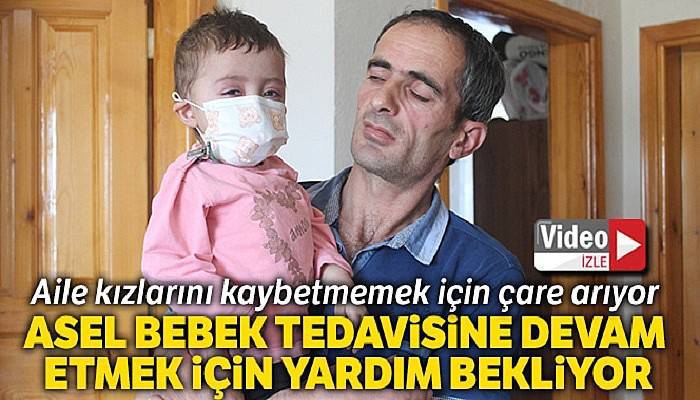 İlk nakli başarısız olan Asel bebek, tedavisine devam etmek için yardım bekliyor