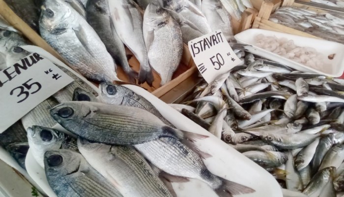 Savaş Sezonu Erken Kapattırdı, Balıklarda Fiyatlar Yükselişe Geçti