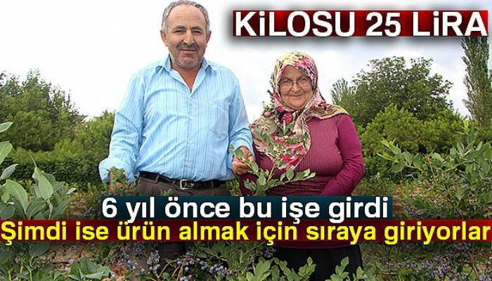 Kimsenin ekmediği meyvenin kilosunu 25 liradan satıyor