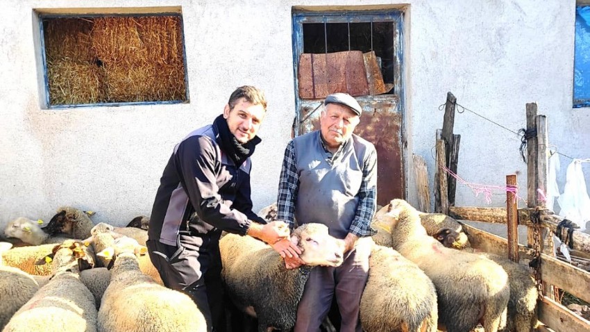 Hayvan Sağlığı Konusundaki Çalışmalar Aralıksız Sürüyor