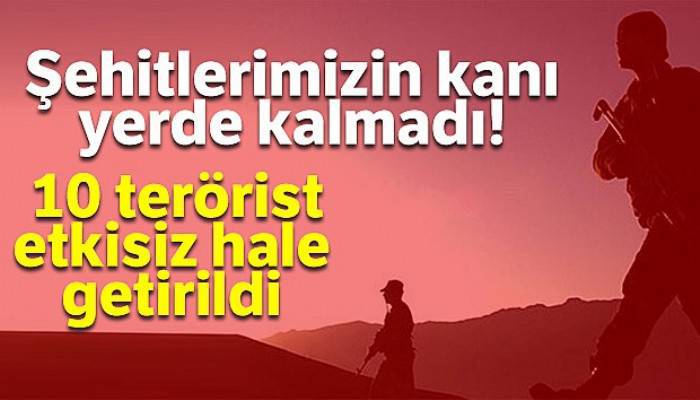 Afrin'de 10 terörist etkisiz hale getirildi
