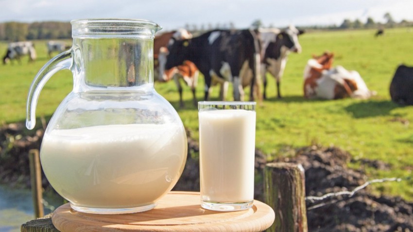 Süt Endüstrisi Ekim Ayında Güçlü Bir Büyüme Sergiledi