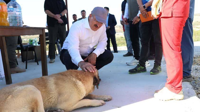 Vali Toraman, Bakımevi ve Doğal Yaşam Alanı’nı Ziyaret Etti