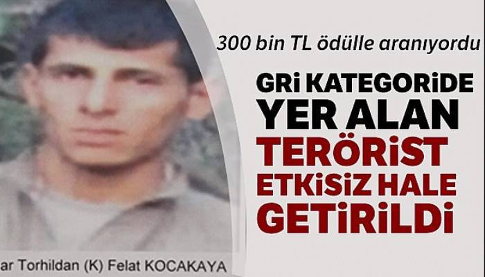 Gri kategoride yer alan terörist etkisiz hale getirildi !