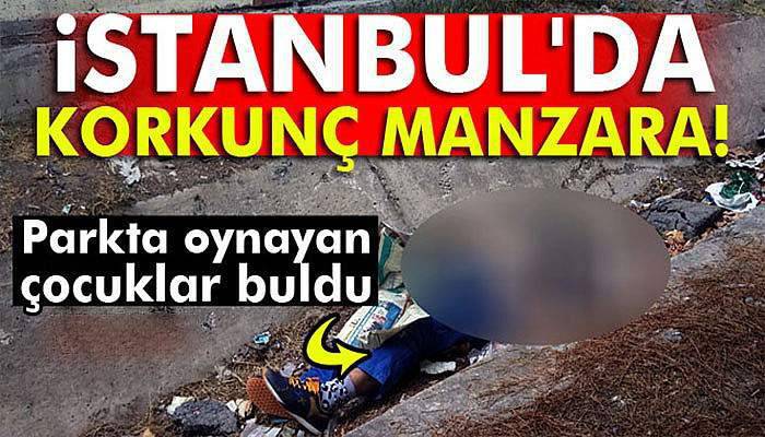 Parkta oynayan çocuklar ceset buldu