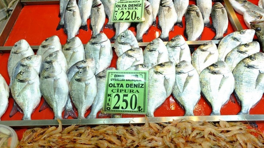 Çanakkale’de güncel balık fiyatları değişkenlik gösteriyor (VİDEO)