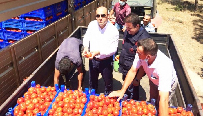 KAYMAKAM CAN, DOMATES ÜRETİCİLERİYLE BİR ARAYA GELDİ