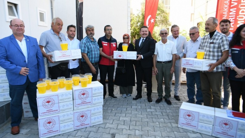 Akdeniz Meyve Sineğine Karşı Doğal Mücadele Başladı