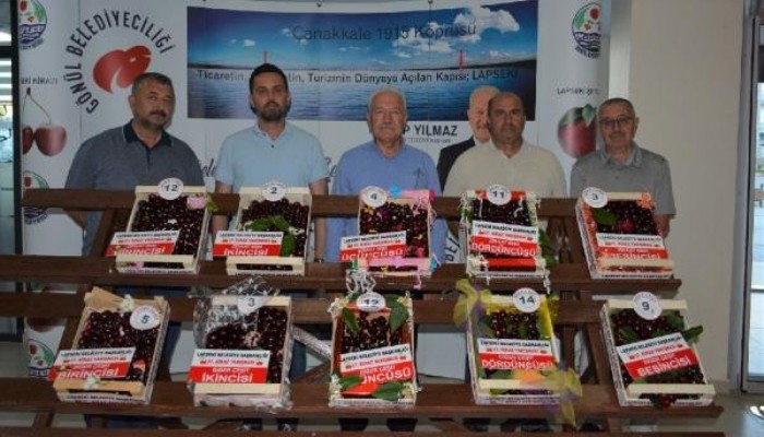 LAPSEKİ'NİN ŞAMPİYON KİRAZLARI BELLİ OLDU