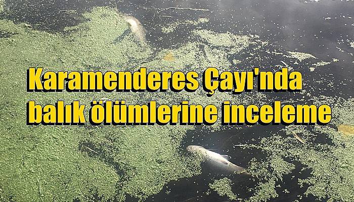 Karamenderes Çayı'nda balık ölümlerine inceleme