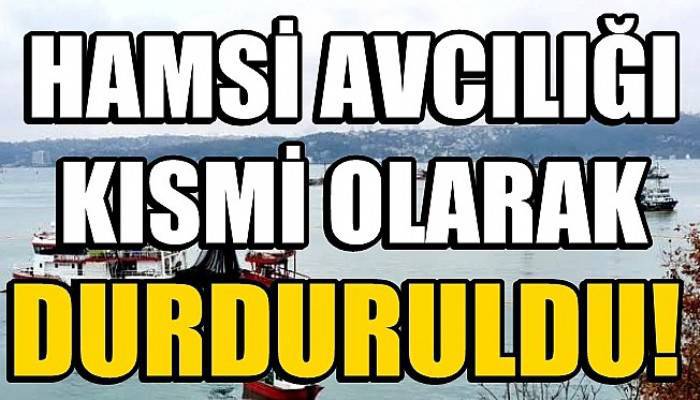 Hamsi avcılığı kısmi olarak durduruldu