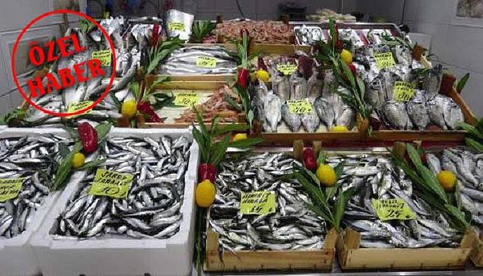 Balıkhane Esnafı Yasağın Bitmesini Bekliyor Balık Tezgahta Kaldı