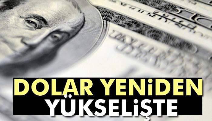 ECB'nin faiz kararı sonrası dolar yükseldi