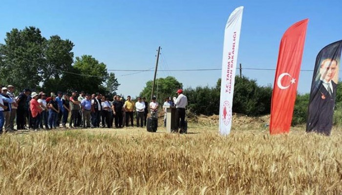 Yeni Buğday ve Arpa Çeşitleri Çiftçilere İki Ayrı Tarla Günüyle Tanıtıldı