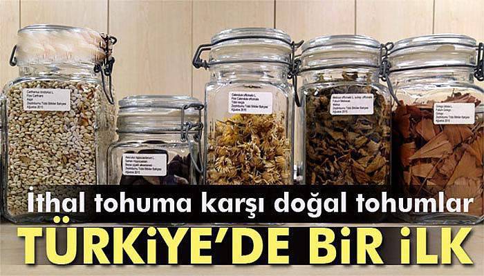 70 yıllık domates tohumu Türkiye’nin ilk Tıbbi Bitkiler Bahçesi'nde