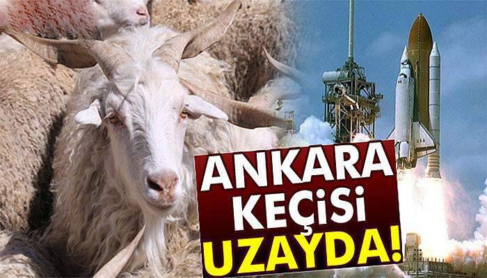 Rus kozmonotların uzay giysisi tiftikten yapılıyor