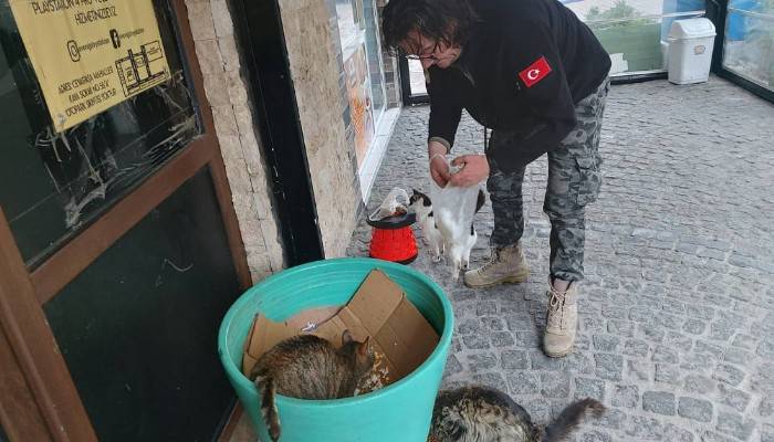 Sürek kedilerin koruyucu meleği oldu