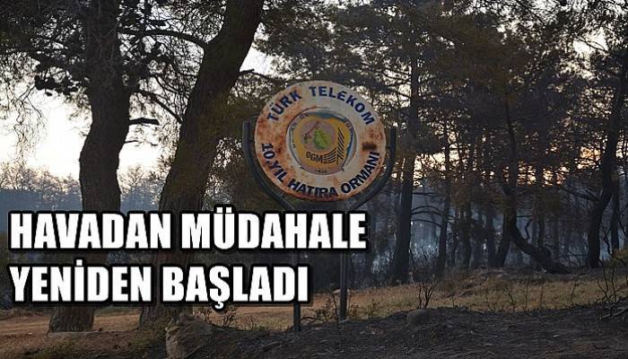 HAVADAN MÜDAHALE YENİDEN BAŞLADI