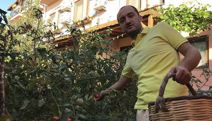 Yöneticiliği bıraktı domates yetiştiriyor