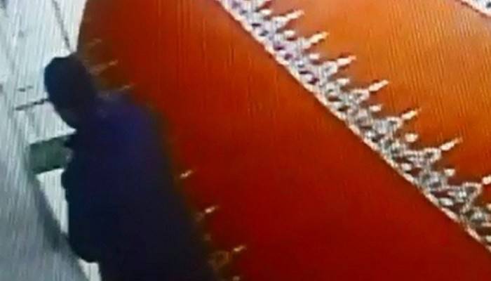 Bu kadarına da pes!