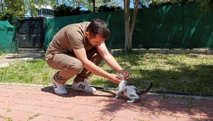 Kedi Köyünde Sağlık Taraması