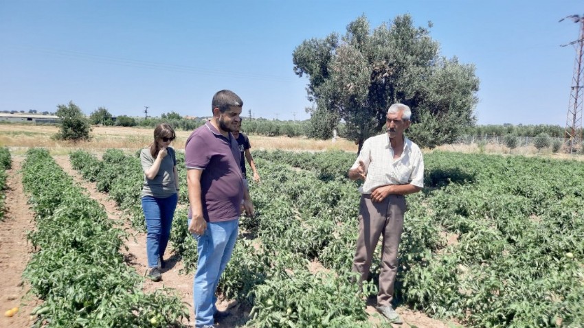 130 Bin Domates Fidesi Üreticiyle Buluştu