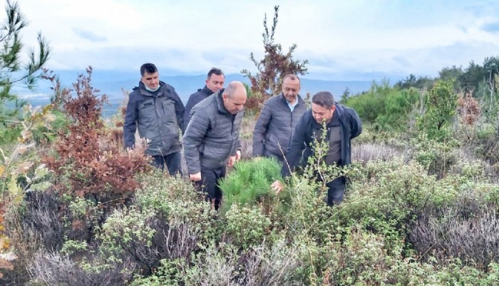 Orman Bölge Müdürü Enver Demirci Arazide İncelemelerde Bulundu
