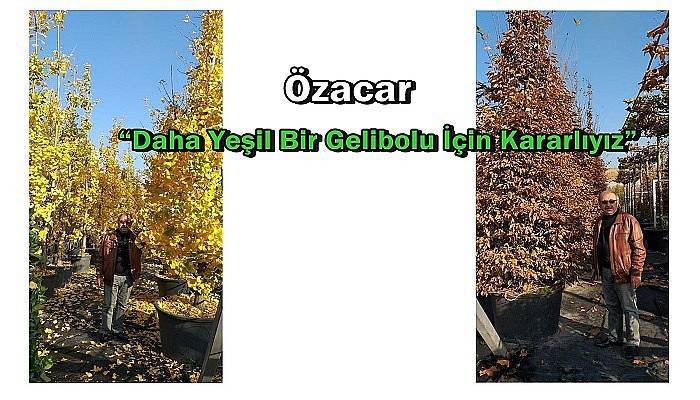 Özacar “Daha Yeşil Bir Gelibolu İçin Kararlıyız”