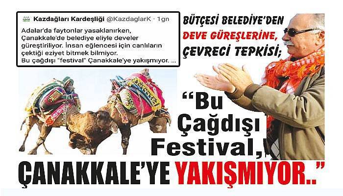 Deve Güreşlerine Çevreci Tepkisi!