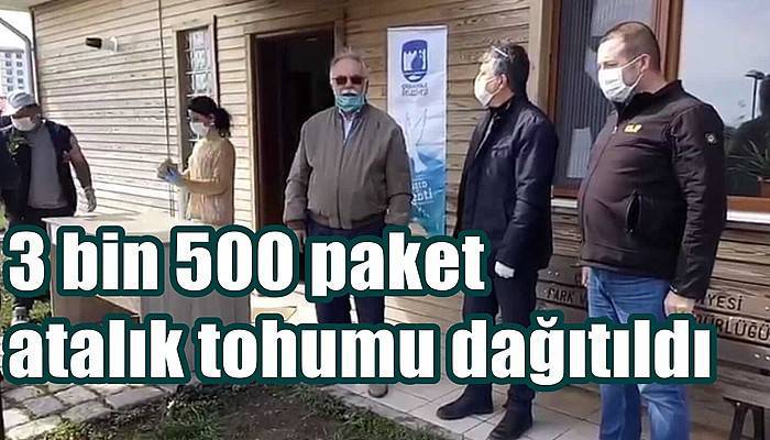 3 bin 500 paket atalık tohumu dağıtıldı