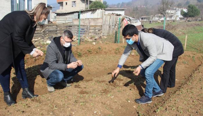 Çan Belediyesi salep fidelerinin gelişimini Tarım Müdürlüğü ile birlikte takip ediyor