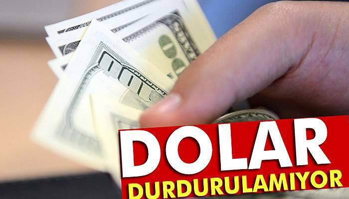 Dolar rekor tazeledi