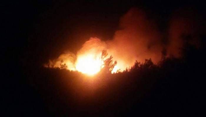 Tarihi Gelibolu Yarımadası'nda orman yangını (VİDEO)