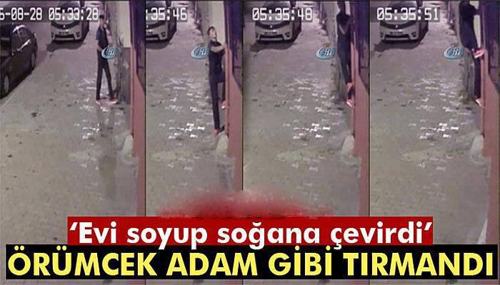 Hırsızın örümcek adam gibi tırmanarak yaptığı soygun kamerada