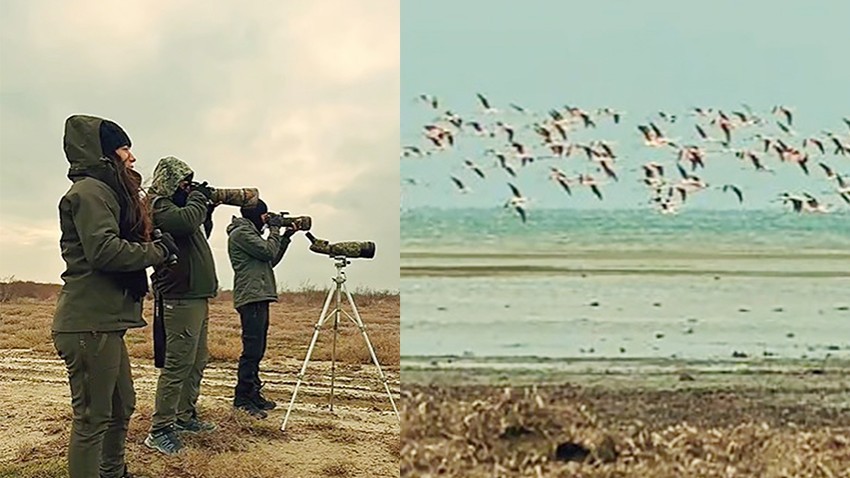 Su Kuşları Kavak Deltası’nda Kayıt Altına Alındı