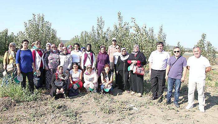 Tokat’lı kadın çiftçiler Çanakkale’de  