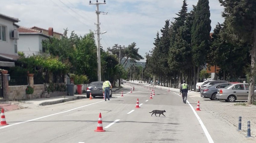 Trafikte Yaya ve Sürücü Güvenliği için Çalışmalar Sürüyor