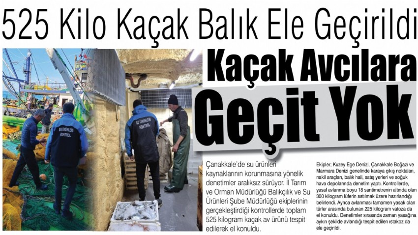 525 Kilo Kaçak Balık Ele Geçirildi, Kaçak Avcılara Geçit Yok