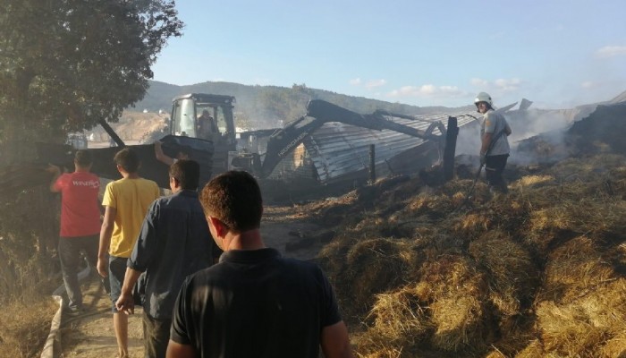 Yenice’de çıkan yangında ev ve ahır yandı, hayvanlar telef oldu   (VİDEO)