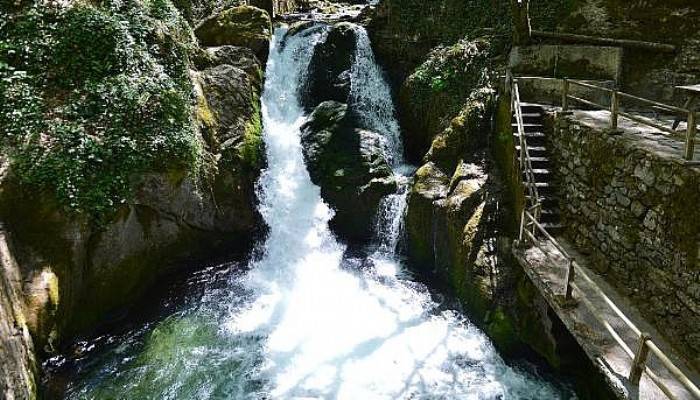 Çanakkale Belediyesi'nin 'Kazdağları gezileri başlıyor