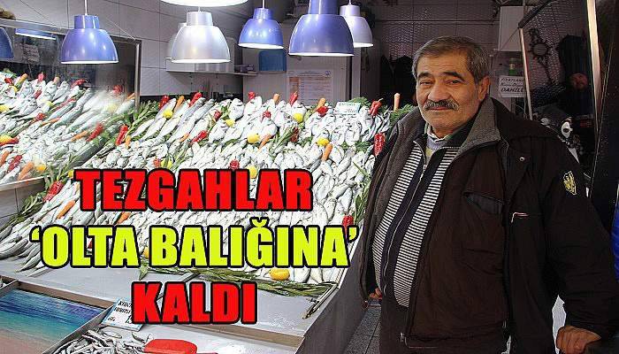  Gırgırlar açılamayınca tezgahlar olta balığına kaldı