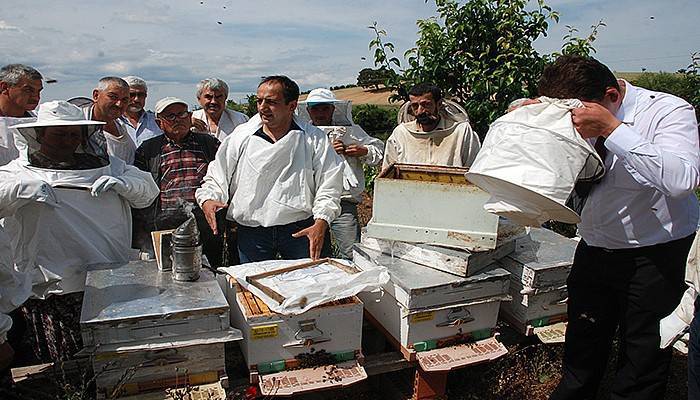 Bayramiç'te ana arı üretim kursu açıldı