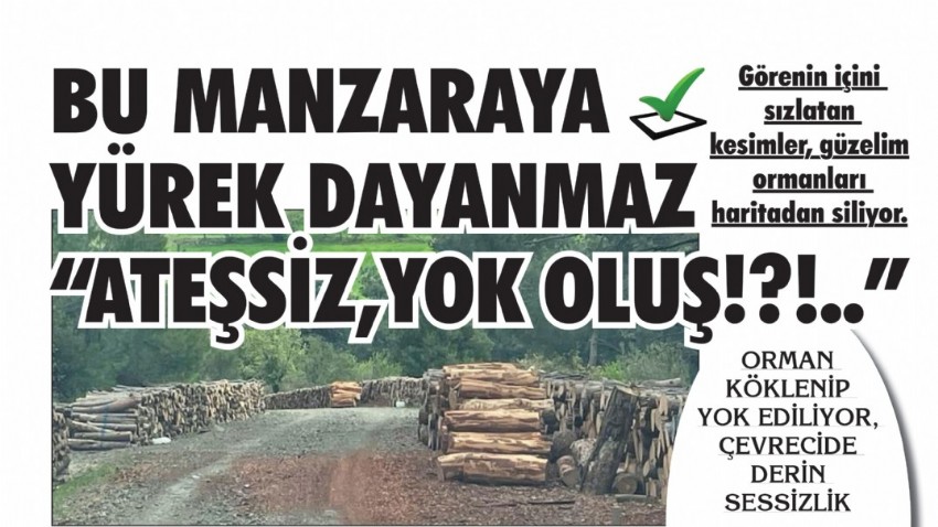 BU MANZARAYA YÜREK DAYANMAZ “ATEŞSİZ, YOK OLUŞ!?!..”