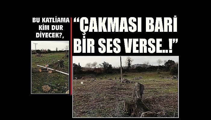 BU KATLİAMA KİM DUR DİYECEK?, “ÇAKMASI BARİ BİR SES VERSE..!”