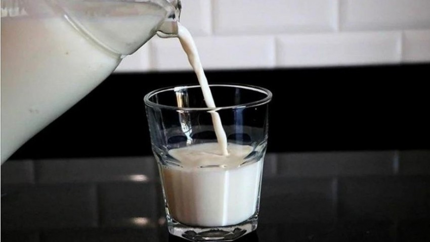 Her yaş grubu için önemli besin: Süt