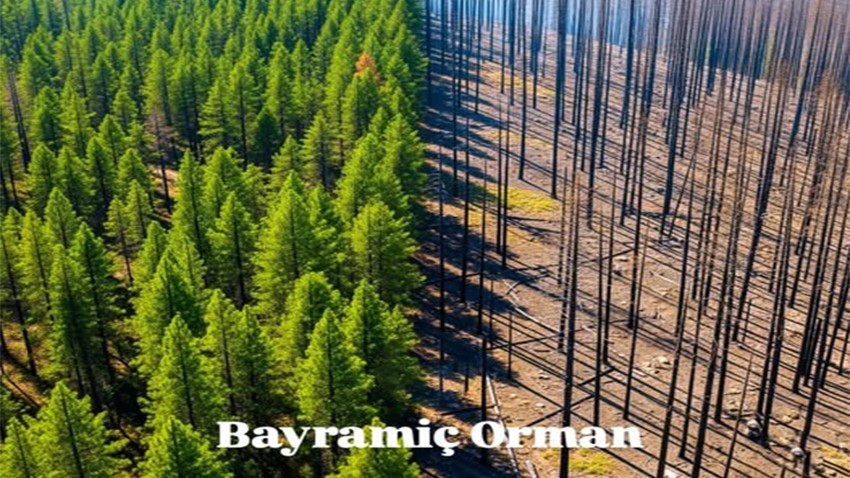 Bayramiç Orman İşletmesi’nden Yangın Uyarısı