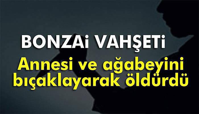 Bağcılar'da bonzai vahşeti