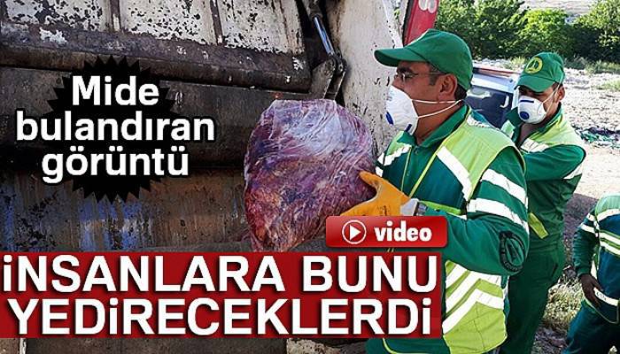 Gaziantep'te 3.5 ton at ve eşek eti ele geçirildi