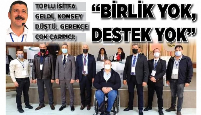 Toplu İsitfa Geldi, Konsey Düştü